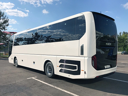 Автобус МАN Белый (50 мест)